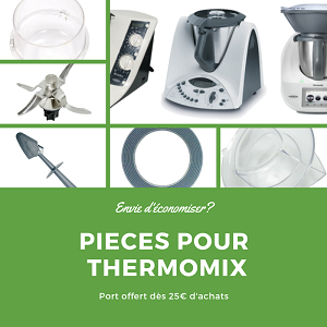 POINTE de SPATULE POUR VORWERK THERMOMIX TM21